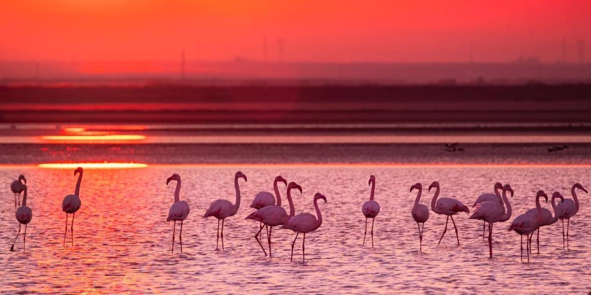 Cabras, Vacanze A Due Passi Dal Mare 외부 사진